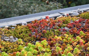 the cost of Monkton green roof installation