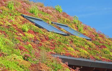 Monkton living roof systems