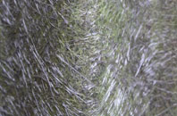 Monkton fibreglass roof work